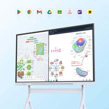 25,000+ Educators trust Nework smart whiteboard in their classrooms